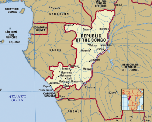 Waste Incinerators for Livestock and Hatchery Operations in the Republic of Congo